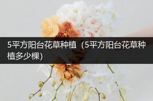 5平方阳台花草种植（5平方阳台花草种植多少棵）