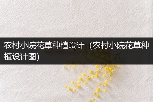 农村小院花草种植设计（农村小院花草种植设计图）