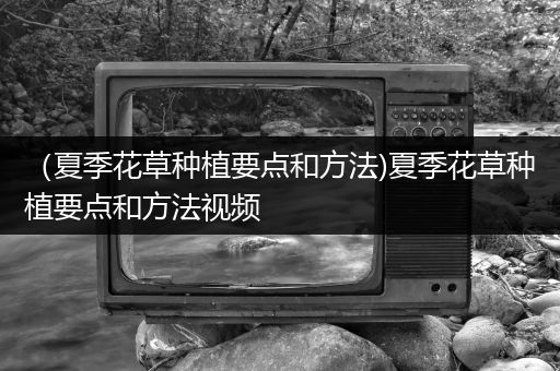 （夏季花草种植要点和方法)夏季花草种植要点和方法视频