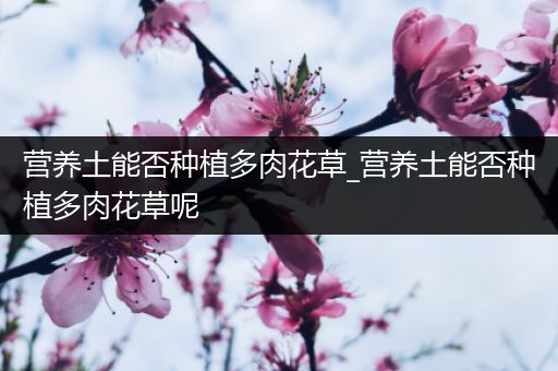 营养土能否种植多肉花草_营养土能否种植多肉花草呢
