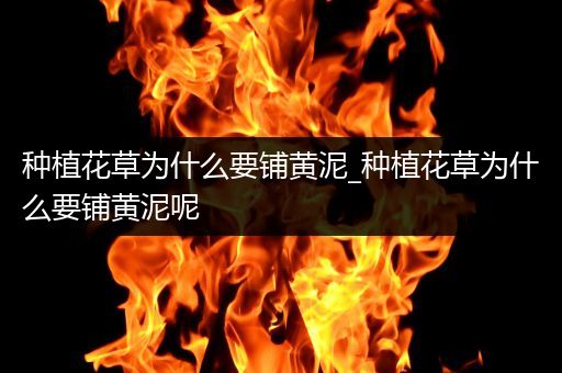 种植花草为什么要铺黄泥_种植花草为什么要铺黄泥呢