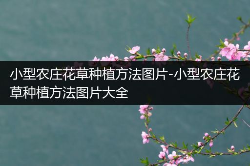 小型农庄花草种植方法图片-小型农庄花草种植方法图片大全