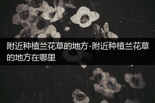 附近种植兰花草的地方-附近种植兰花草的地方在哪里