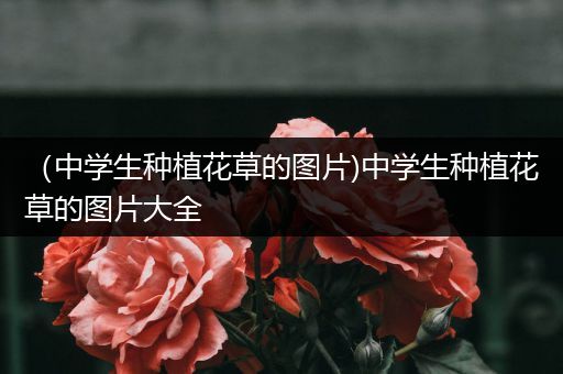 （中学生种植花草的图片)中学生种植花草的图片大全
