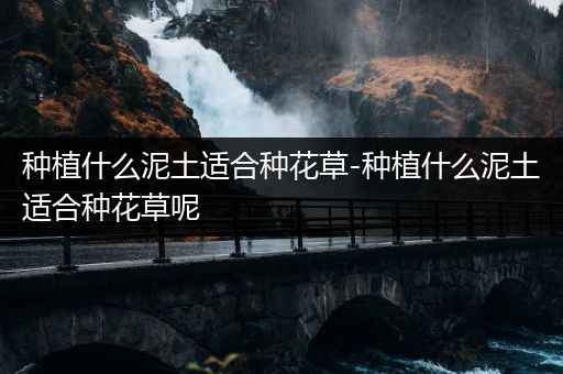 种植什么泥土适合种花草-种植什么泥土适合种花草呢