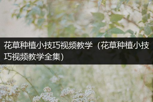 花草种植小技巧视频教学（花草种植小技巧视频教学全集）