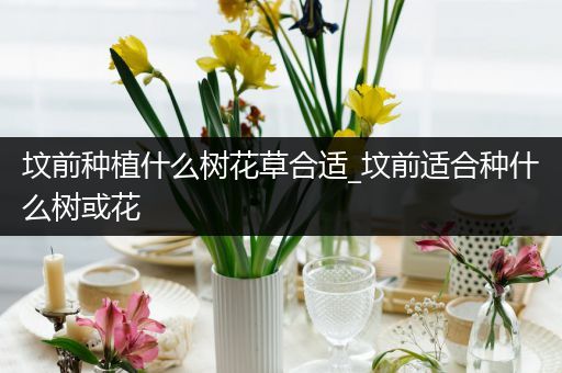 坟前种植什么树花草合适_坟前适合种什么树或花