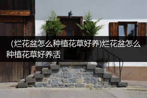 （烂花盆怎么种植花草好养)烂花盆怎么种植花草好养活