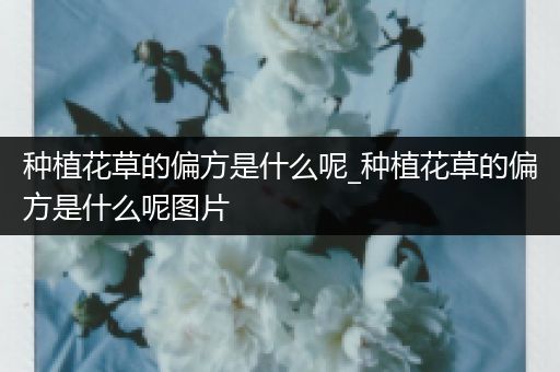 种植花草的偏方是什么呢_种植花草的偏方是什么呢图片