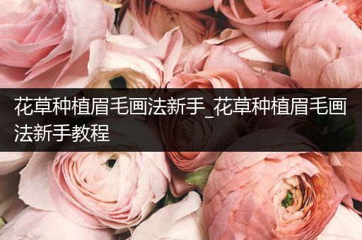花草种植眉毛画法新手_花草种植眉毛画法新手教程