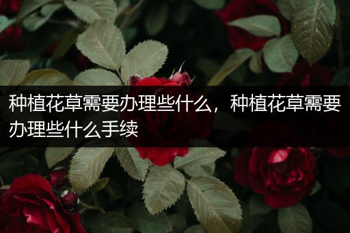 种植花草需要办理些什么，种植花草需要办理些什么手续