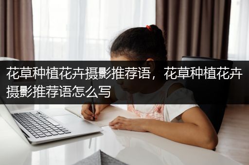 花草种植花卉摄影推荐语，花草种植花卉摄影推荐语怎么写