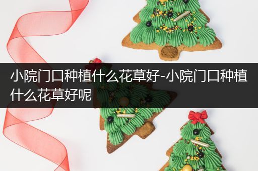 小院门口种植什么花草好-小院门口种植什么花草好呢