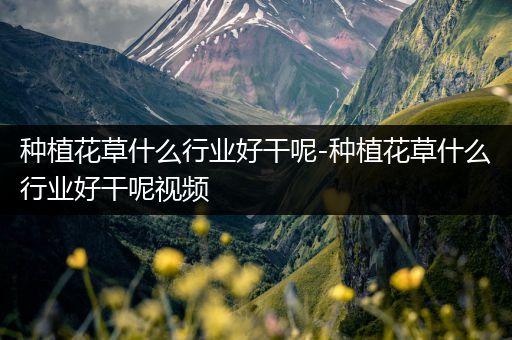 种植花草什么行业好干呢-种植花草什么行业好干呢视频