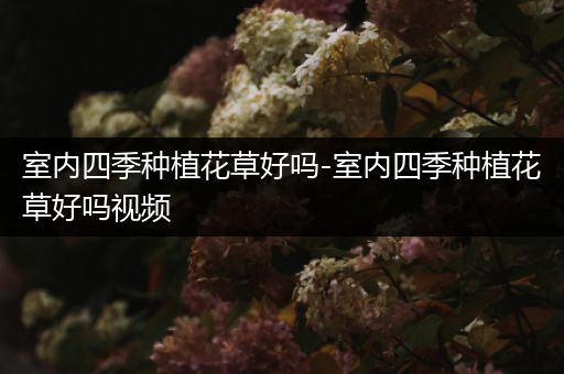 室内四季种植花草好吗-室内四季种植花草好吗视频
