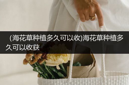 （海花草种植多久可以收)海花草种植多久可以收获