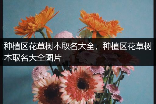 种植区花草树木取名大全，种植区花草树木取名大全图片