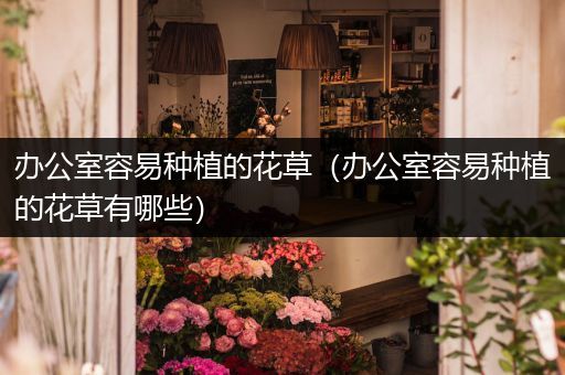 办公室容易种植的花草（办公室容易种植的花草有哪些）