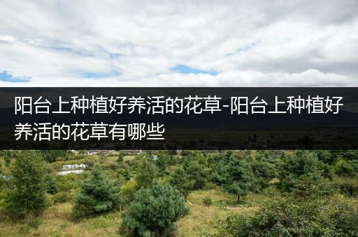 阳台上种植好养活的花草-阳台上种植好养活的花草有哪些