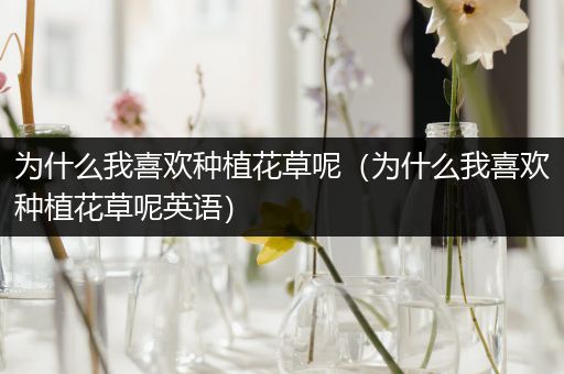 为什么我喜欢种植花草呢（为什么我喜欢种植花草呢英语）
