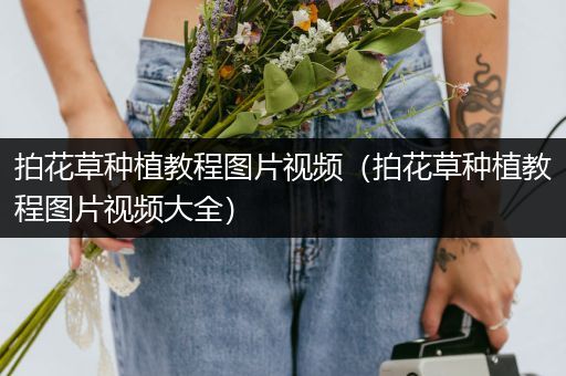 拍花草种植教程图片视频（拍花草种植教程图片视频大全）