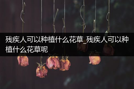 残疾人可以种植什么花草_残疾人可以种植什么花草呢