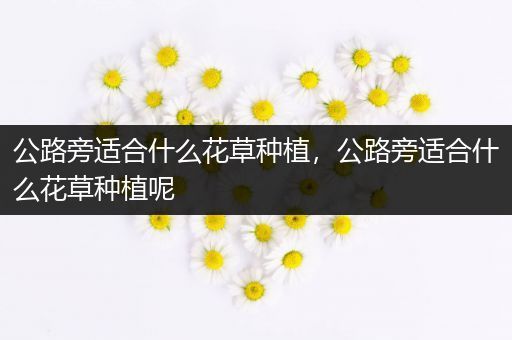 公路旁适合什么花草种植，公路旁适合什么花草种植呢