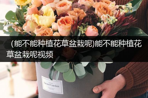 （能不能种植花草盆栽呢)能不能种植花草盆栽呢视频