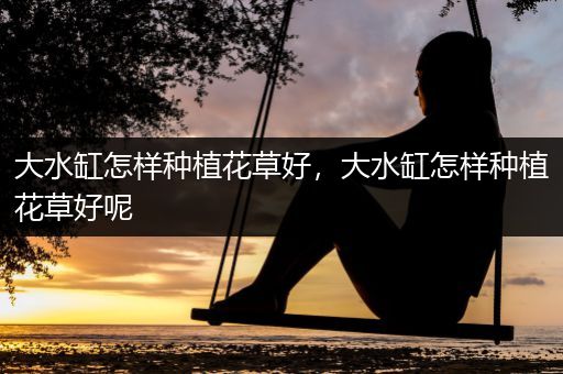 大水缸怎样种植花草好，大水缸怎样种植花草好呢