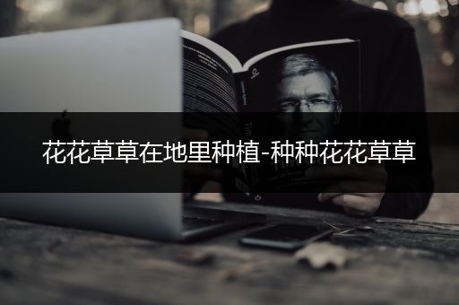 花花草草在地里种植-种种花花草草