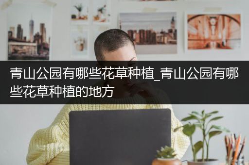 青山公园有哪些花草种植_青山公园有哪些花草种植的地方