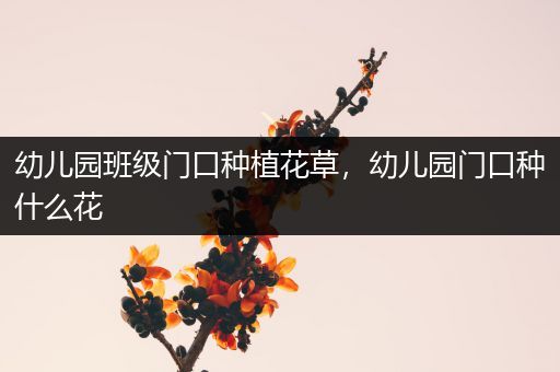幼儿园班级门口种植花草，幼儿园门口种什么花