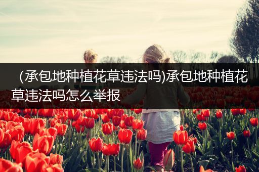（承包地种植花草违法吗)承包地种植花草违法吗怎么举报