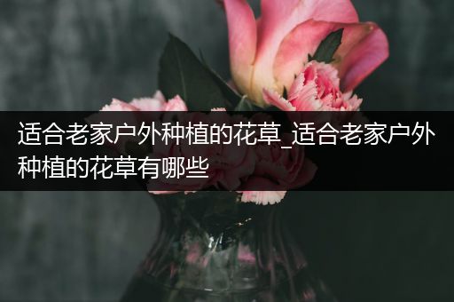 适合老家户外种植的花草_适合老家户外种植的花草有哪些