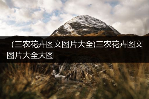 （三农花卉图文图片大全)三农花卉图文图片大全大图