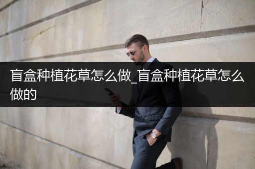盲盒种植花草怎么做_盲盒种植花草怎么做的