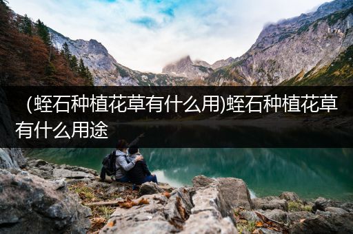 （蛭石种植花草有什么用)蛭石种植花草有什么用途