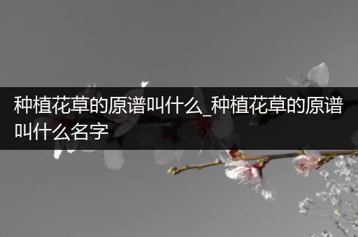 种植花草的原谱叫什么_种植花草的原谱叫什么名字