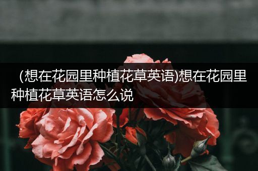 （想在花园里种植花草英语)想在花园里种植花草英语怎么说