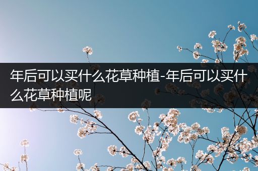 年后可以买什么花草种植-年后可以买什么花草种植呢