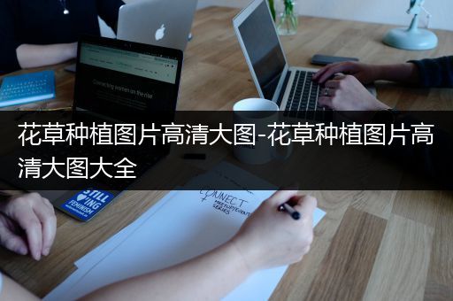 花草种植图片高清大图-花草种植图片高清大图大全