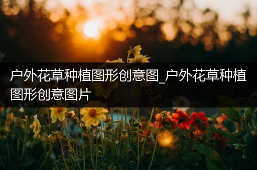 户外花草种植图形创意图_户外花草种植图形创意图片