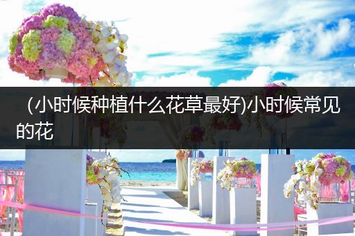 （小时候种植什么花草最好)小时候常见的花