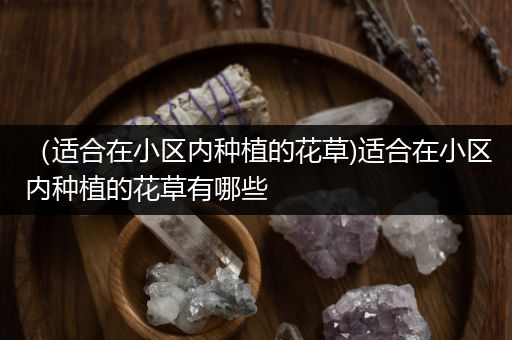 （适合在小区内种植的花草)适合在小区内种植的花草有哪些
