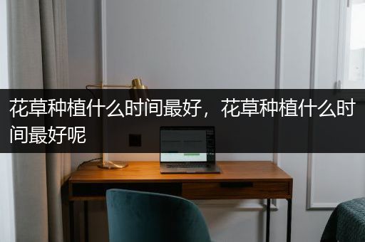 花草种植什么时间最好，花草种植什么时间最好呢
