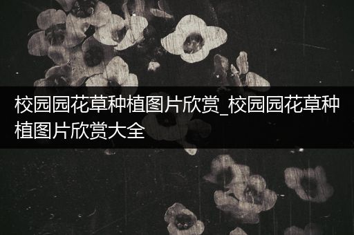 校园园花草种植图片欣赏_校园园花草种植图片欣赏大全