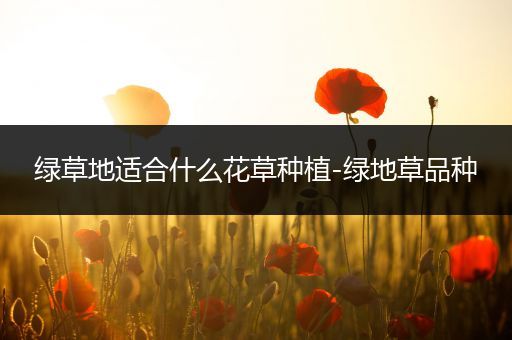 绿草地适合什么花草种植-绿地草品种