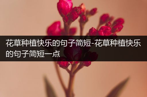 花草种植快乐的句子简短-花草种植快乐的句子简短一点