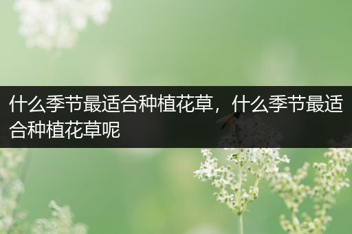 什么季节最适合种植花草，什么季节最适合种植花草呢