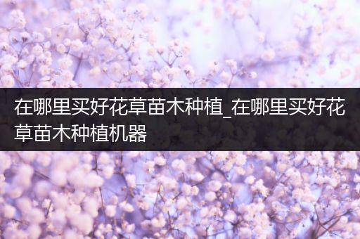 在哪里买好花草苗木种植_在哪里买好花草苗木种植机器